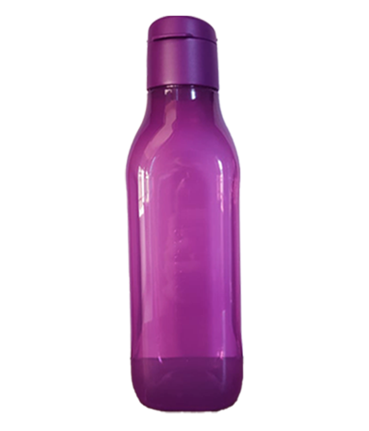 Aquasafe Fliptop Squire Water Bottle