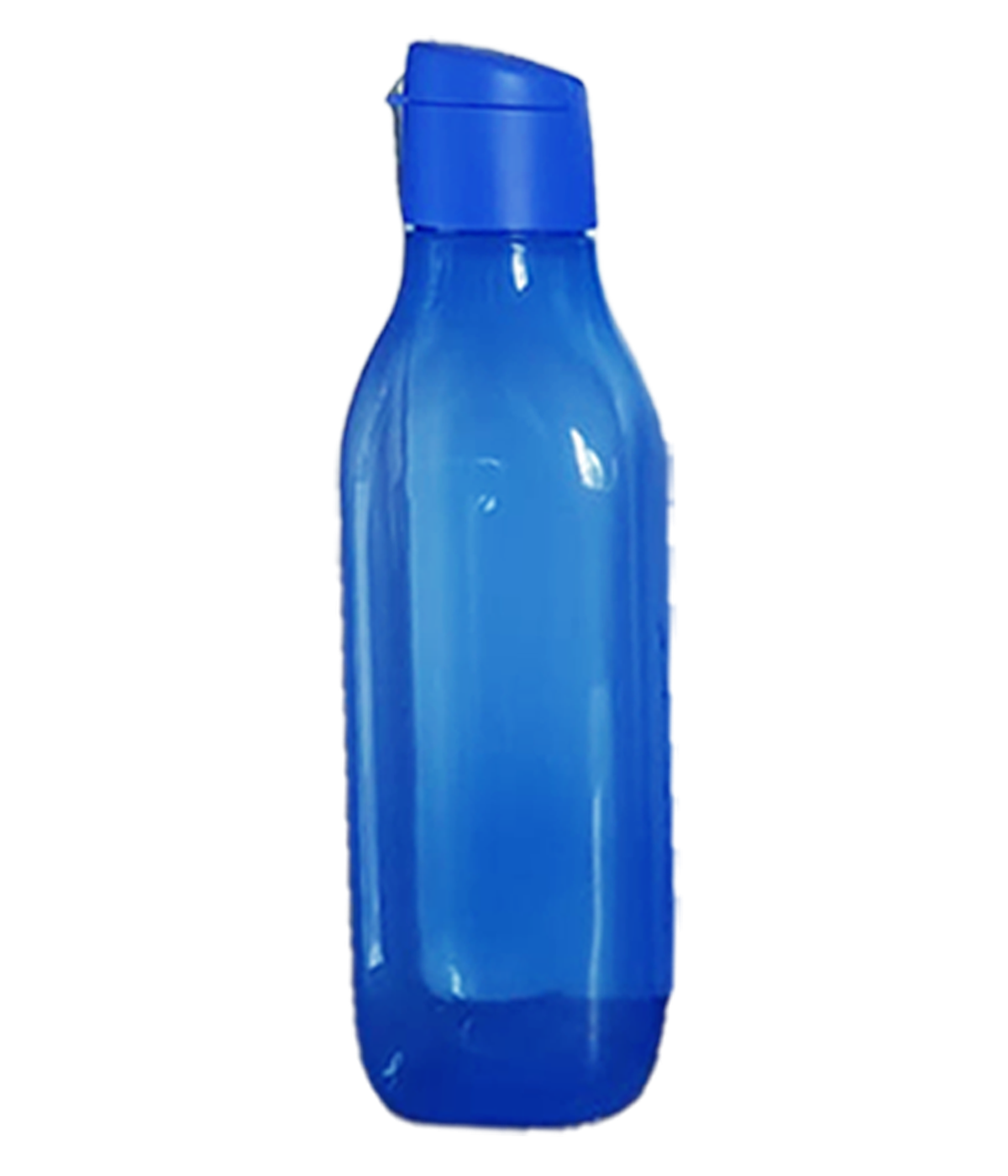 Aquasafe Fliptop Squire Water Bottle
