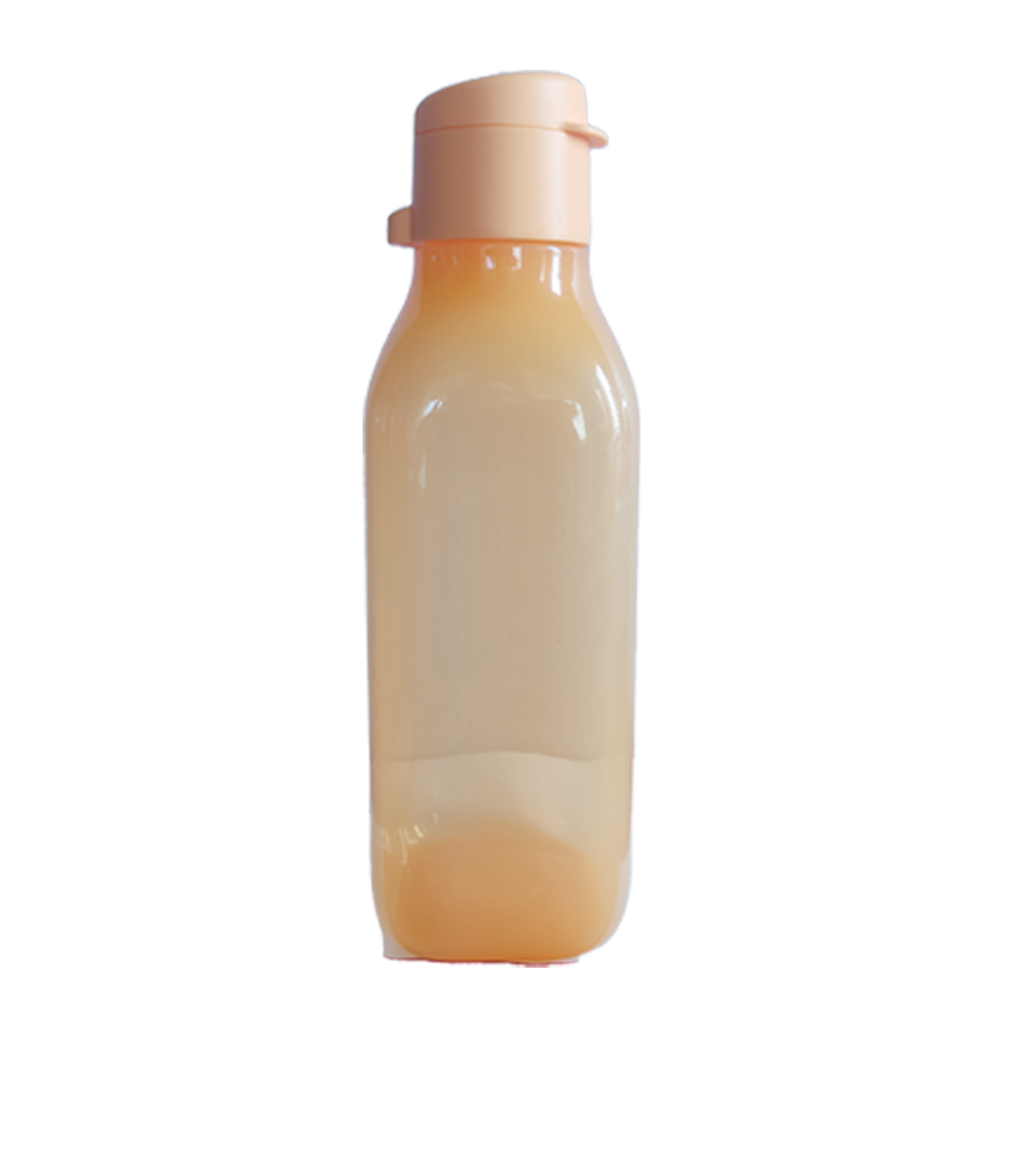 Aquasafe Fliptop Squire Water Bottle