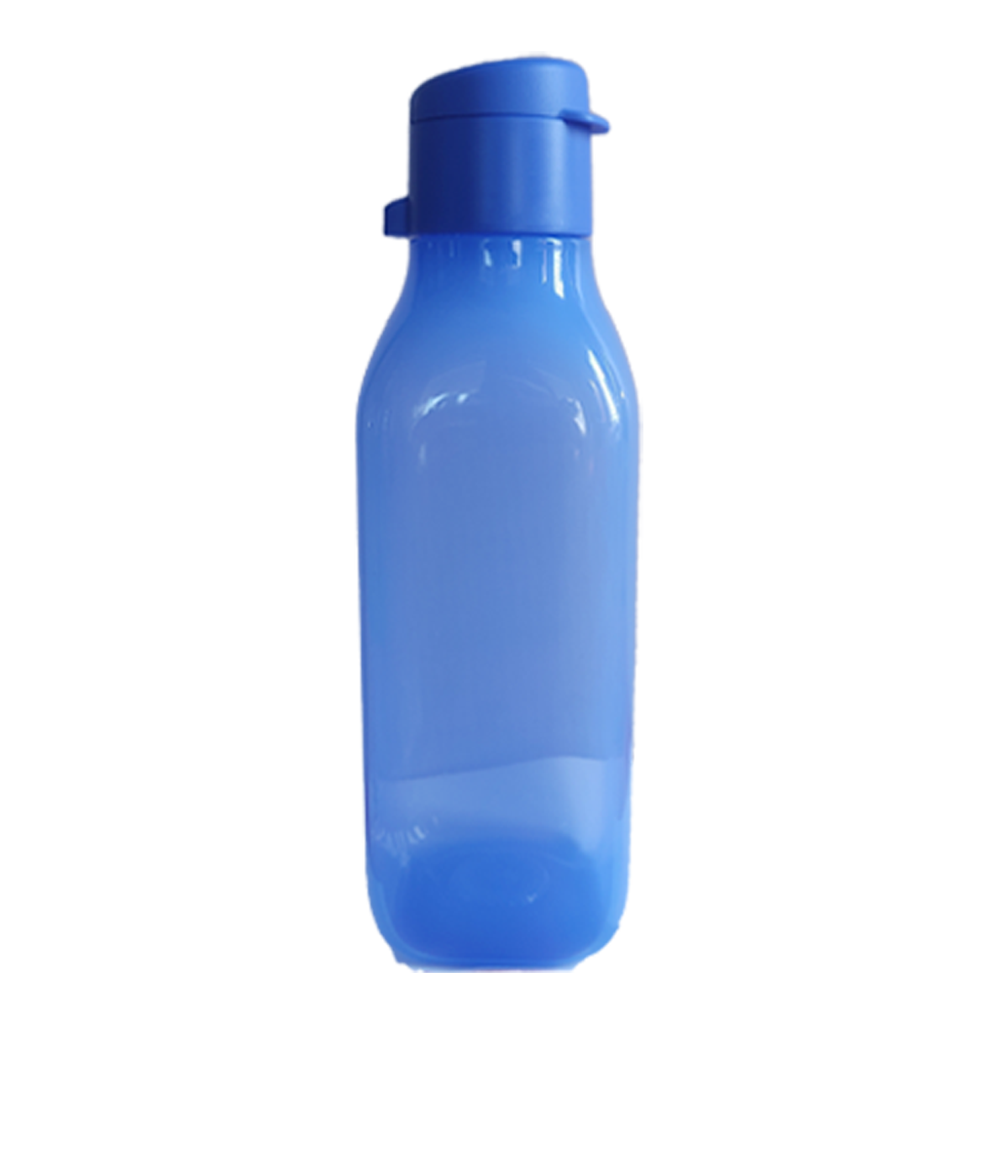 Aquasafe Fliptop Squire Water Bottle