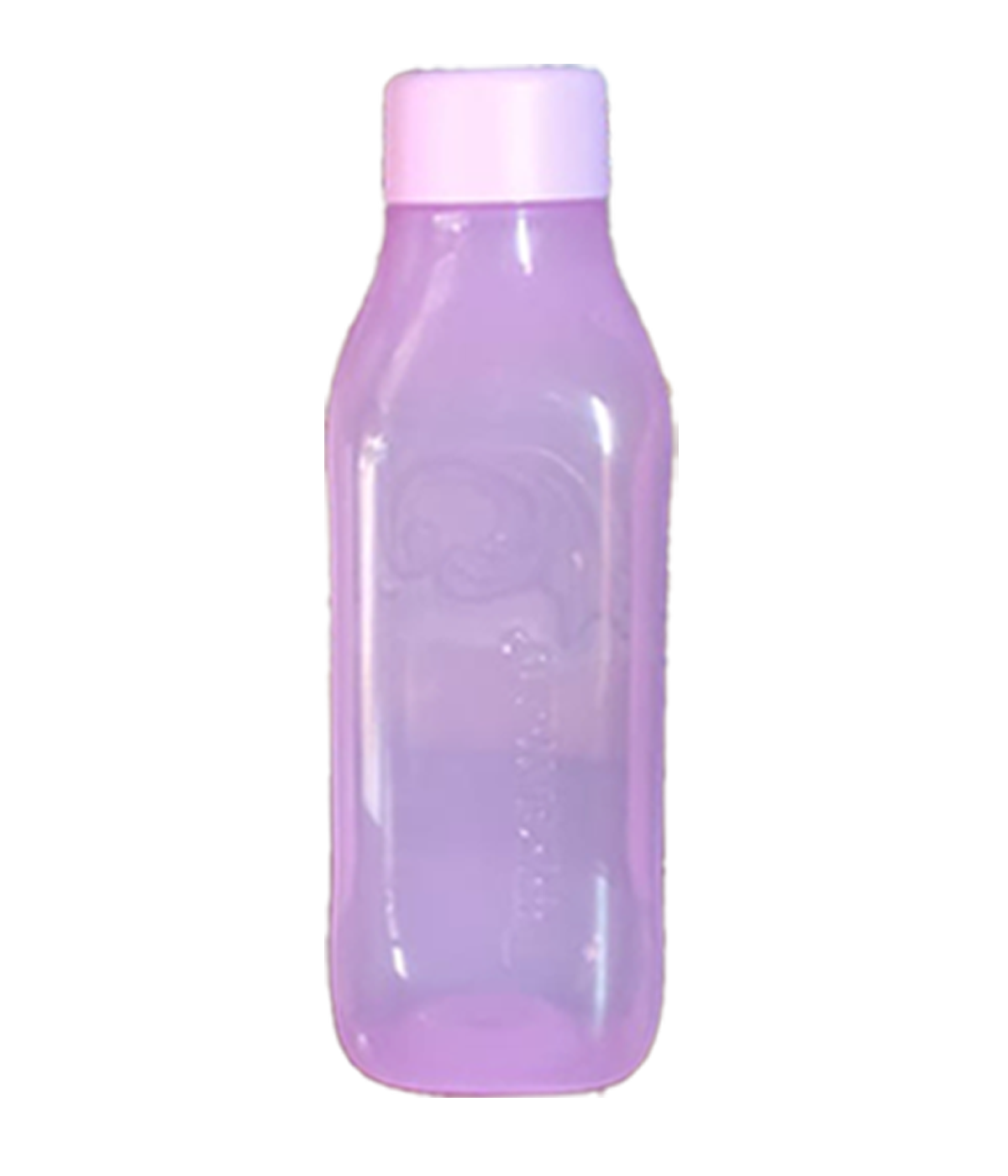 Aquasafe Non Flip-top Squire Water Bottle