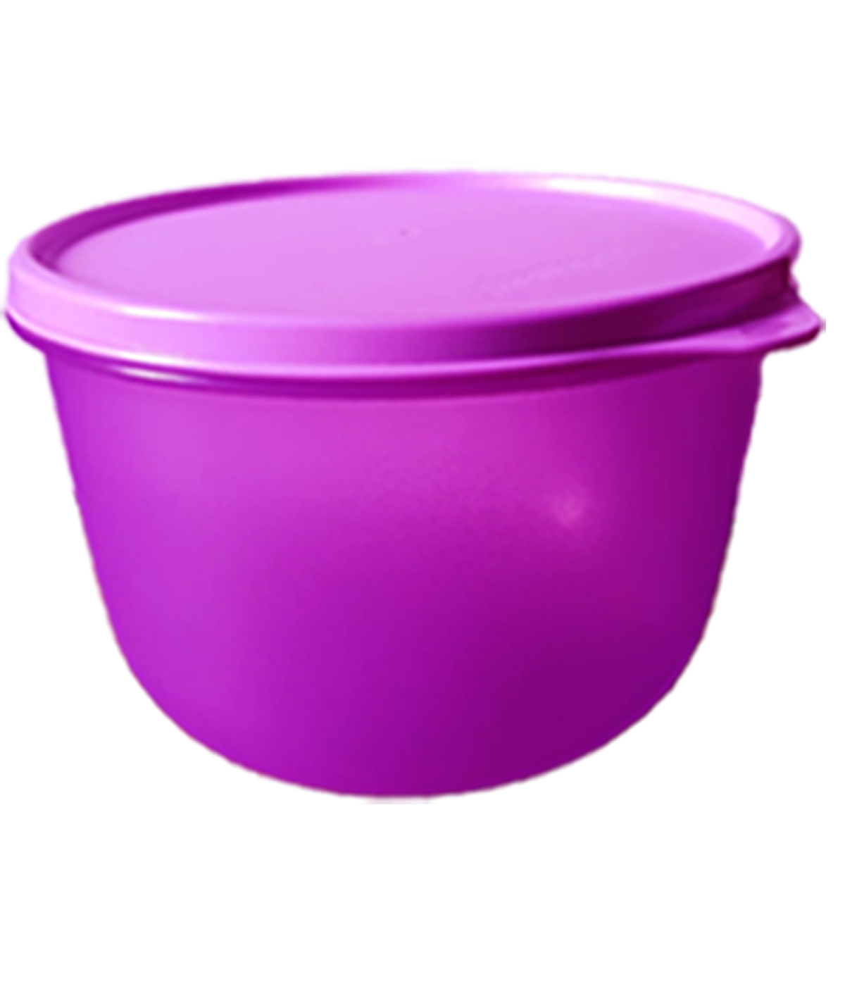 SS Bowls