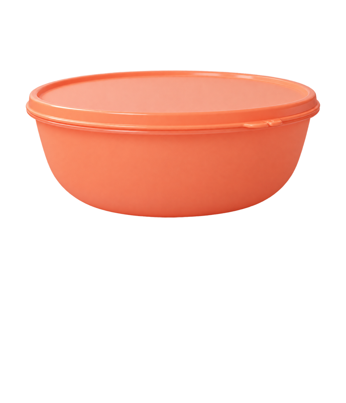 SS Bowls